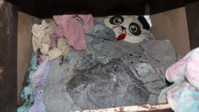 eeuu niña desaparecida