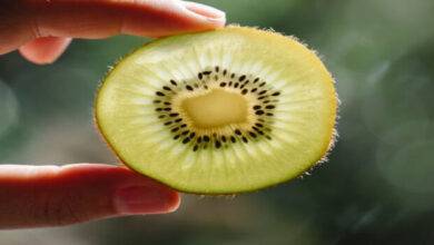 kiwi