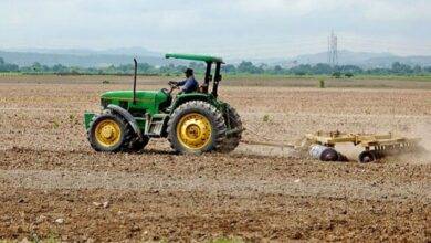 agricola