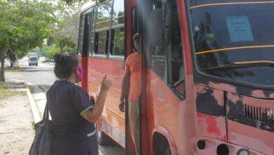 bus