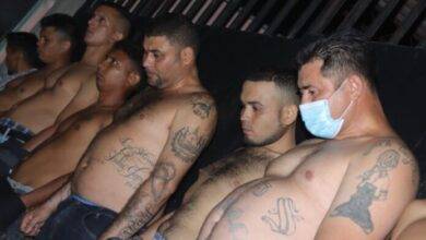 pandilleros
