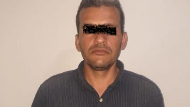 vendedor organos