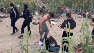 migrantes