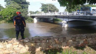rio neveri