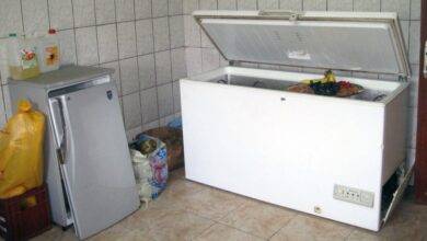 cadaver freezer