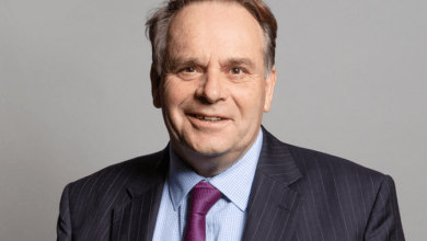 diputado