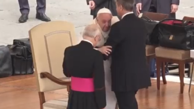 papa