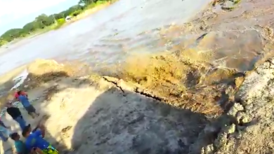 rio zulia