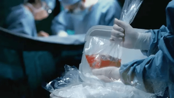 donantes de organos