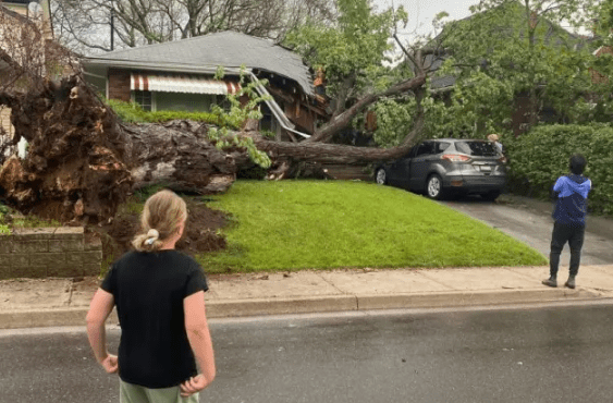 tormenta canada