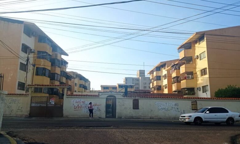 el lido