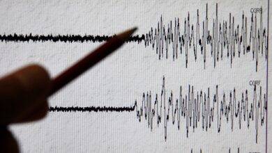 sismo