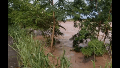 rio tachira