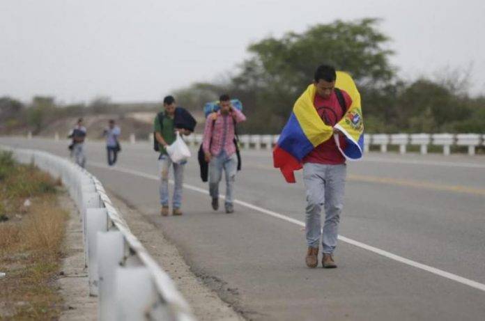 migrantes