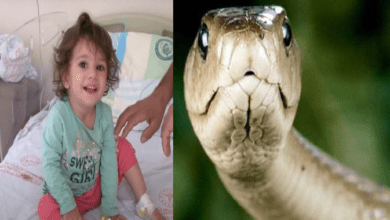 NIÑA SERPIENTE