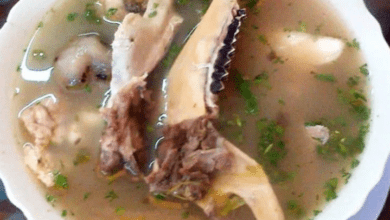 sopa