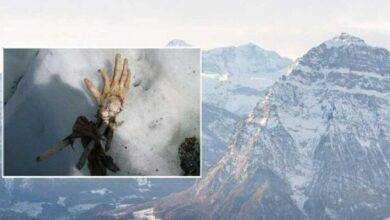 alpes esqueleto