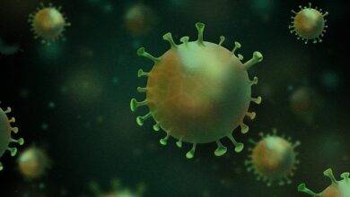virus