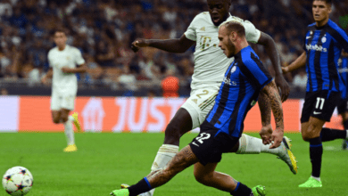 bayer inter