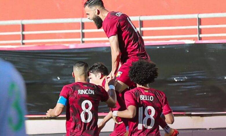 vinotinto