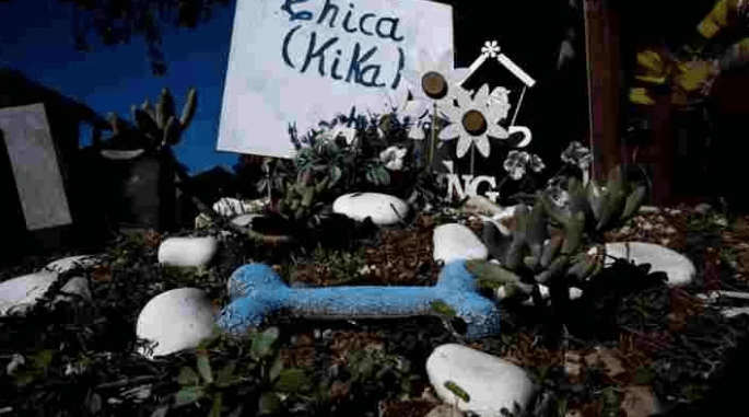 cementerio