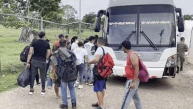 autobuses