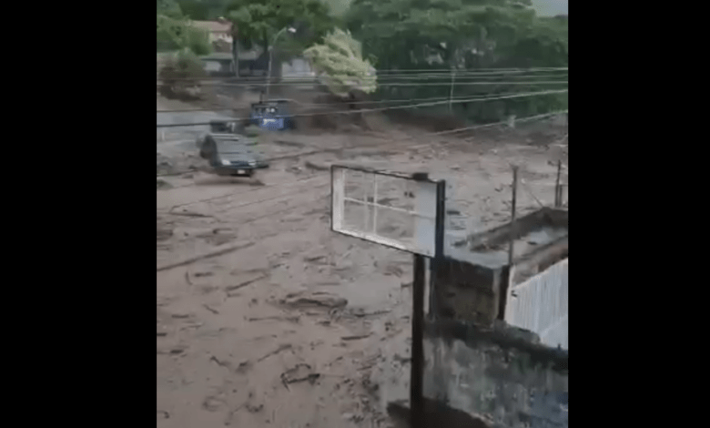 maracay
