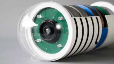 capsula robotica