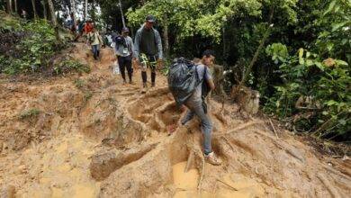 migrantes selva