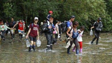 migrantes