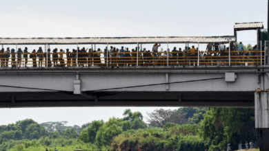 puente migracion